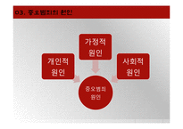 증오범죄의 사례와 해결방안-11