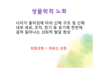 생물학적 노화와 노년기의 신체적 특성-3