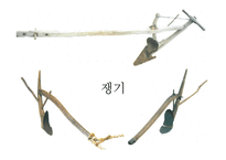 한국의 농업발달과 유교문화, 과학기술사-10