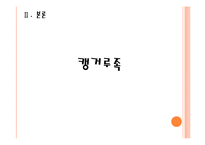 헬리콥터맘 & 캥거루족-16