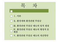 환경관련 부담금 제도의 문제점과 개선방안-2