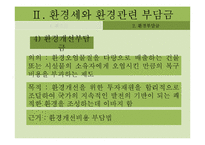 환경관련 부담금 제도의 문제점과 개선방안-12