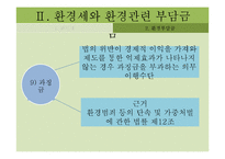 환경관련 부담금 제도의 문제점과 개선방안-17