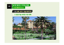 실리콘 밸리의 지역혁신체제-12