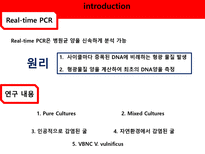 [응용미생물학] Real-Time PCR Analysis of Vibrio vulnificus from Oysters-6