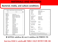 [응용미생물학] Real-Time PCR Analysis of Vibrio vulnificus from Oysters-7