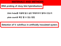 [응용미생물학] Real-Time PCR Analysis of Vibrio vulnificus from Oysters-11