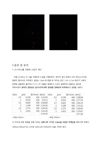CD표면의 회절격자를 통한 고랑의 간격 측정-6