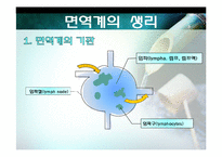 [건강심리] 제 6장 스트레스와 질병의 이해-3