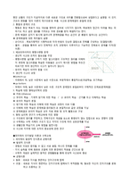 초등 5학년 수학 학습지도의 이론과 실제-평면도형의 넓이-4