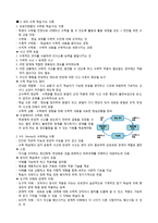 초등 5학년 수학 학습지도의 이론과 실제-평면도형의 넓이-8