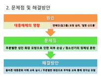 초등학교 여학생들의 화장 실태 및 해결방안-17