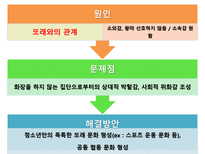 초등학교 여학생들의 화장 실태 및 해결방안-18