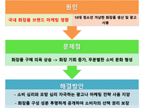 초등학교 여학생들의 화장 실태 및 해결방안-19