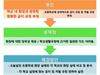 초등학교 여학생들의 화장 실태 및 해결방안-20
