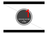 인간발달-학령전기-3