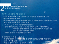 [국제기구론] 분쟁해결-13