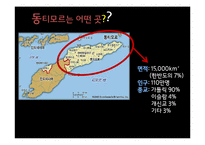 동티모르 침탈의 역사 고찰-4