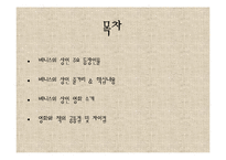 `베니스의 상인` 영화와 책 비교-2