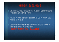 [마케팅조사] 하이트 마케팅분석-6