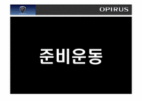 [마케팅] 현대자동차 `오피러스`opirus 마케팅-2