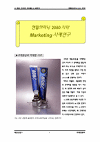 덴탈크리닉 2080치약 마케팅사례연구-1