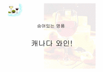 [마케팅] 나이아샹스 스파클링 Ice Wine 마케팅전략-17