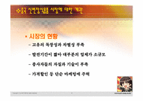 중국 은제 신변장식용품 진출에 대한 보고-3