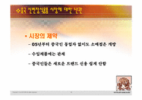 중국 은제 신변장식용품 진출에 대한 보고-13