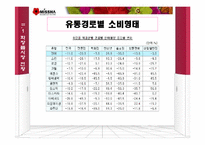 [유통관리] 화장품 `미샤`의 유통구조혁신-10