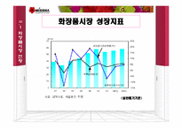 [유통관리] 화장품 `미샤`의 유통구조혁신-12