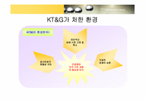 [조직구조론] KT&G(담배인삼공사)의 민영화 조직구조의 변화-6