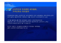 [경영전략] KTX 현황과 발전방향 모색-12