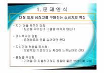 [소비자행동론] 삼성전자 지펠(Zipel) 냉장고 소비자의사결정구매과정-12