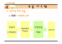 [유통관리] 화장품인터넷쇼핑몰 마이오렌지 유통전략-6