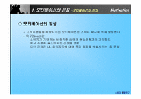 [소비자행동론] 모티베이션(Motivation) 동기부여-3
