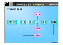 [소비자행동론] 모티베이션(Motivation) 동기부여-4