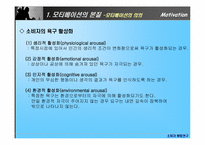 [소비자행동론] 모티베이션(Motivation) 동기부여-5