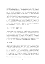 [중국경제] 중국중형차시장과 중국자동차시장 진출전략-5