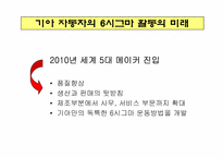 기아자동차의 6시그마-13