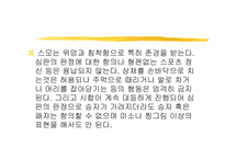 [일본문화] 일본스포츠문화 스모-10