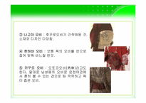 [일본문화] 기모노-14