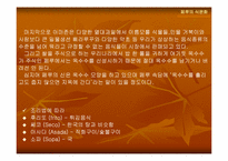 [음식문화] 페루의 식문화-9