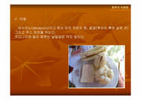 [음식문화] 페루의 식문화-10