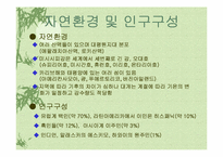 미국음식문화 레포트-4