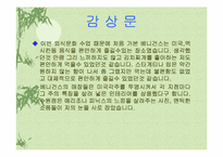 미국음식문화 레포트-19