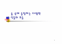 일본 애니메이션에 반영된 일본인의 사상과 종교-5