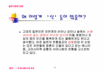 일본 애니메이션에 반영된 일본인의 사상과 종교-13