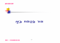 일본 애니메이션에 반영된 일본인의 사상과 종교-17