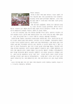 [중국문화] 치우미와 붉은악마(중국과 한국의 월드컵 응원문화)-5